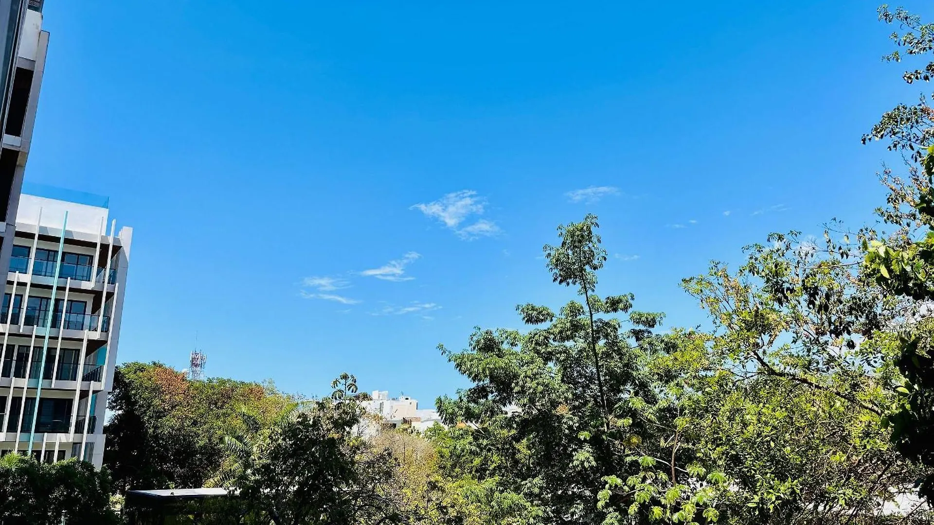 Ipana 114C Fall In Love With Playa Del Carmen