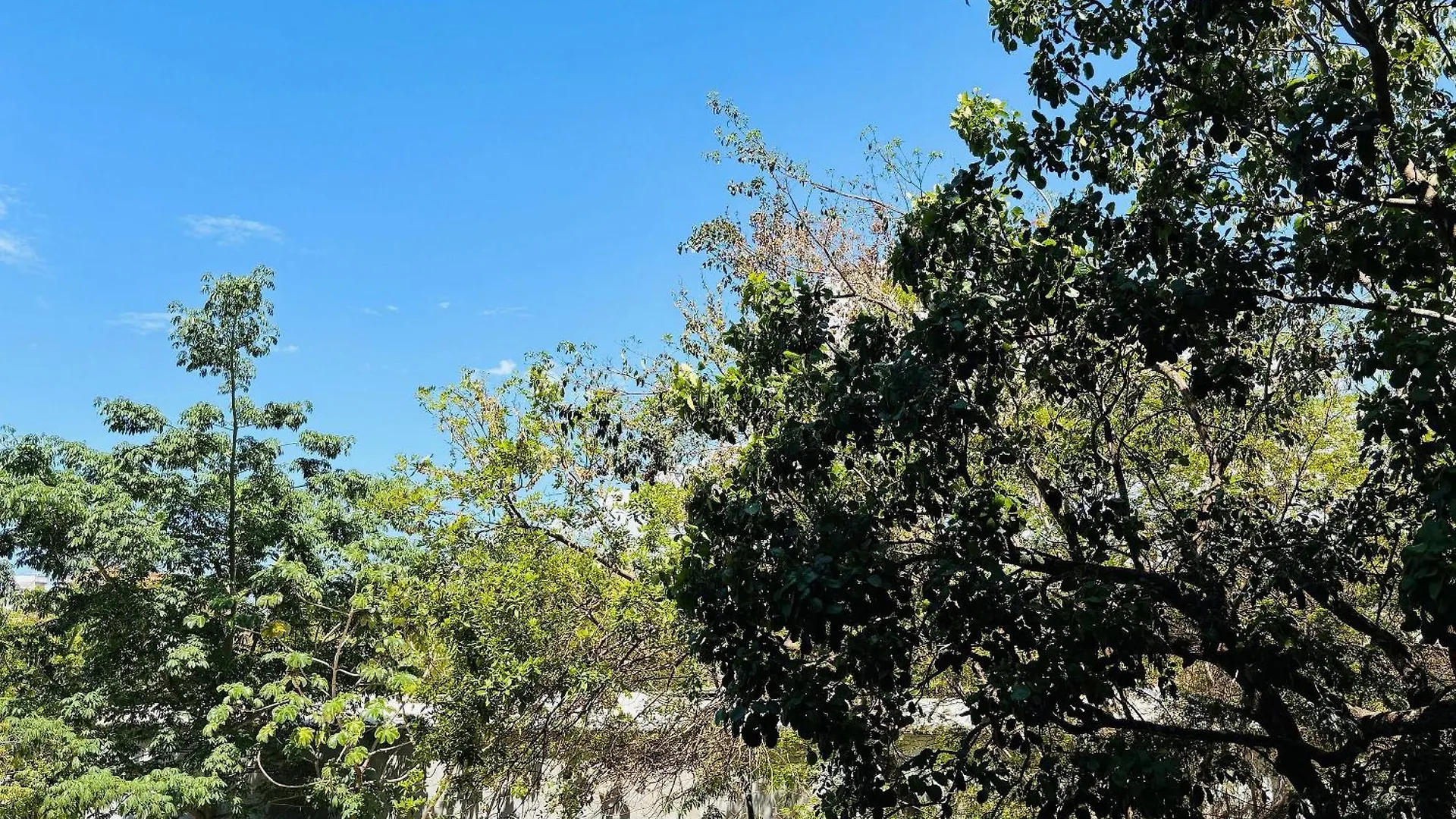 Ipana 114C Fall In Love With Playa Del Carmen