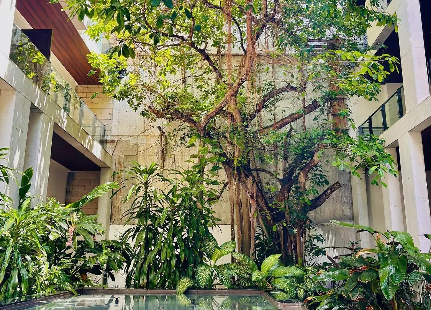 Ipana 114C Fall In Love With Playa Del Carmen