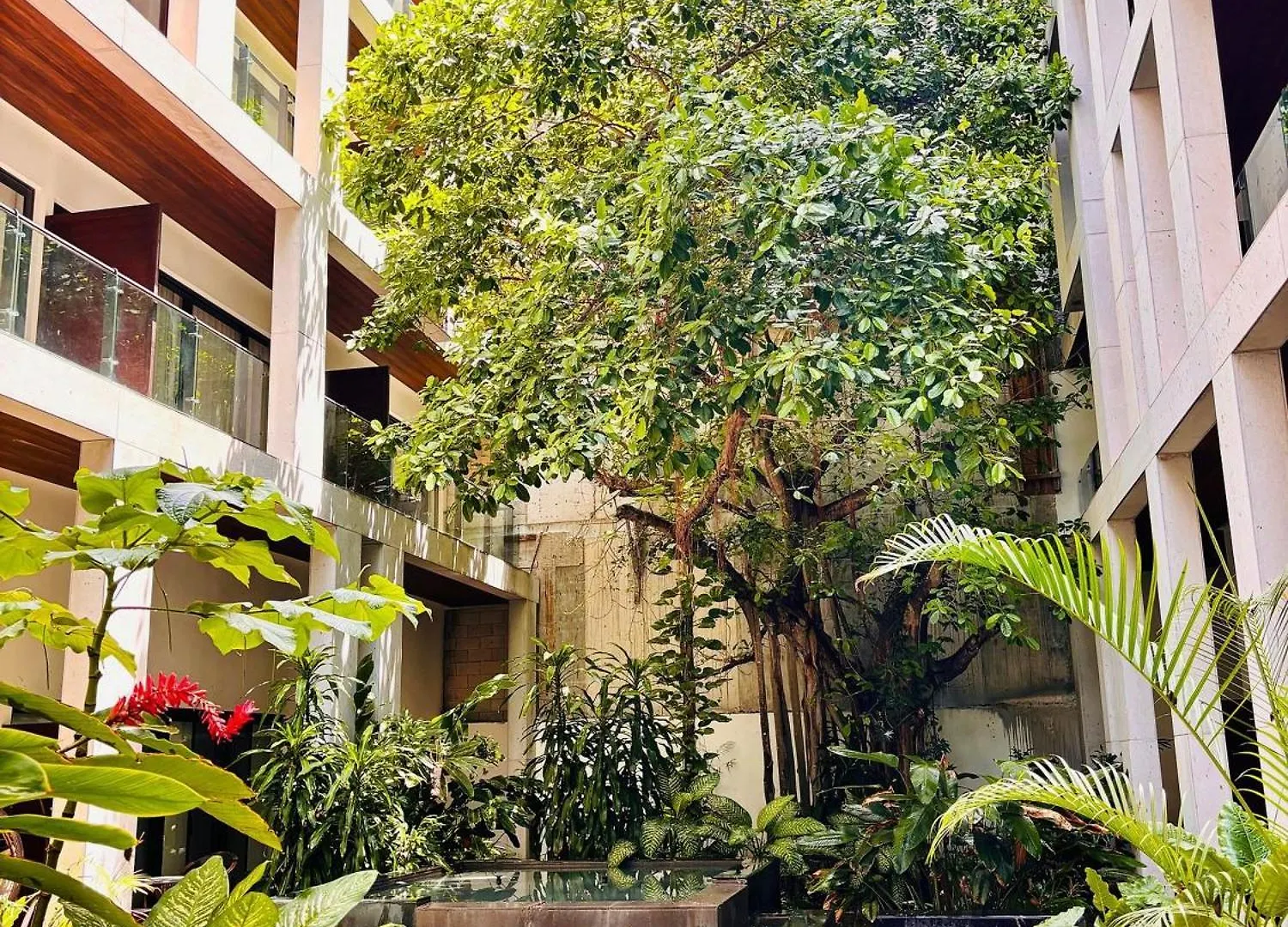 Ipana 114C Fall In Love With Playa Del Carmen 0*,